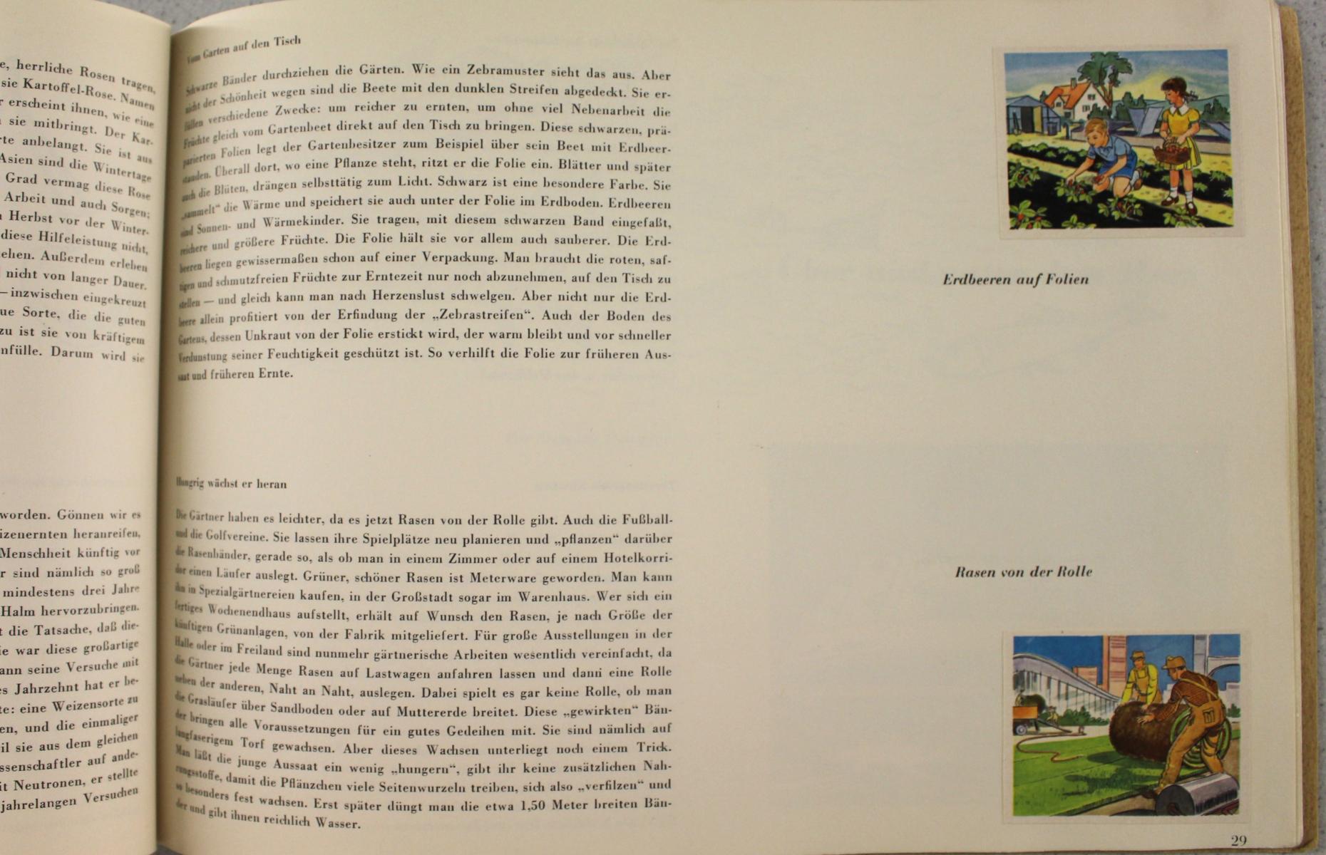 Hier sieht man die Erklärung zweier Ideen, die es in der Zukunft, laut dem Buch &quot;Die Welt von morgen&quot;, geben könnte